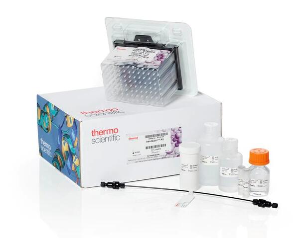 小麦叶疫病菌PCR试剂盒