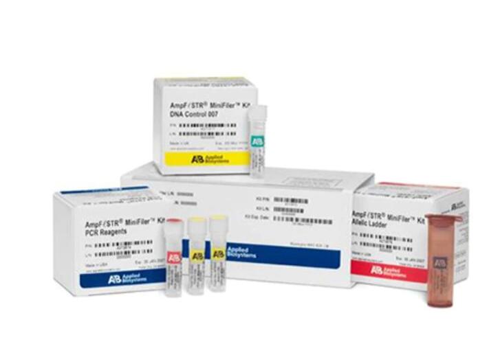 )腺病毒B型染料法荧光定量PCR试剂盒