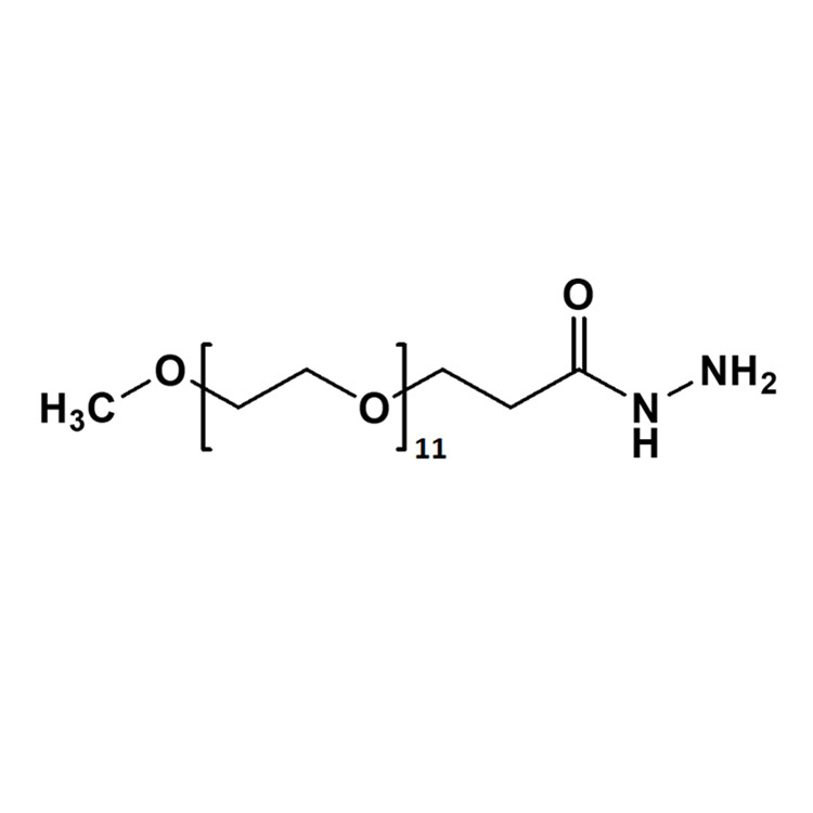 甲氧基-聚乙二醇-酰肼