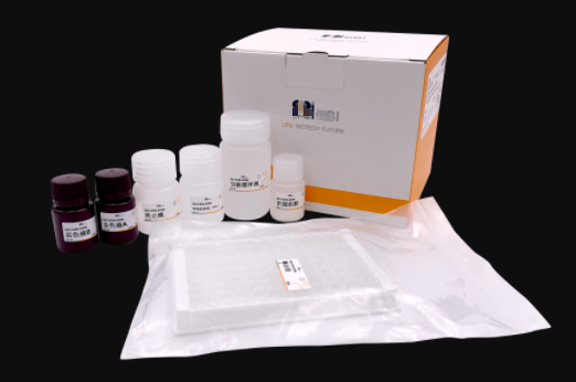 大鼠血管紧张素Ⅰ(Ang-Ⅰ)Elisa试剂盒