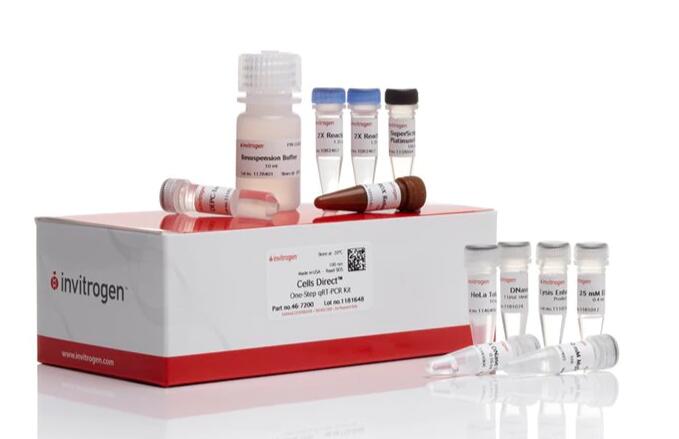 罗汉果染料法PCR鉴定试剂盒
