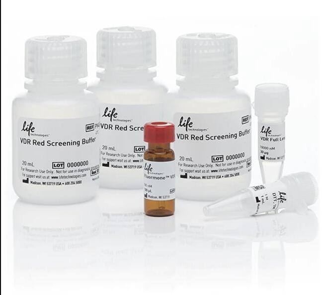 脲酶（Urease，UE）测定试剂盒