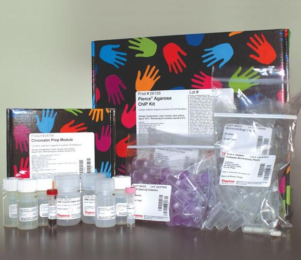 查尔酮异构酶(Chalcone isomerase, CHI)试剂盒