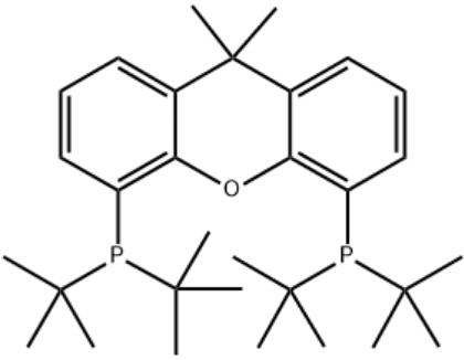 4,5-双(二叔丁基膦)-9,9-二甲基氧杂蒽