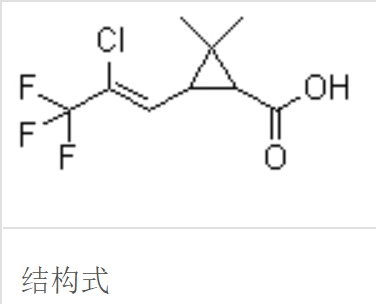 功夫酸