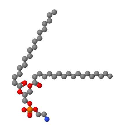 1069-79-0；1,2-二硬酯酰-SN-甘油-3-磷酰乙醇胺