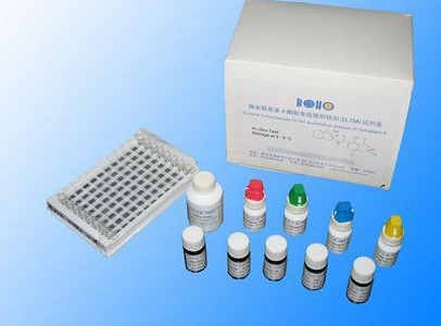 小鼠抗环胍氨酸肽抗体(CCP)Elisa试剂盒