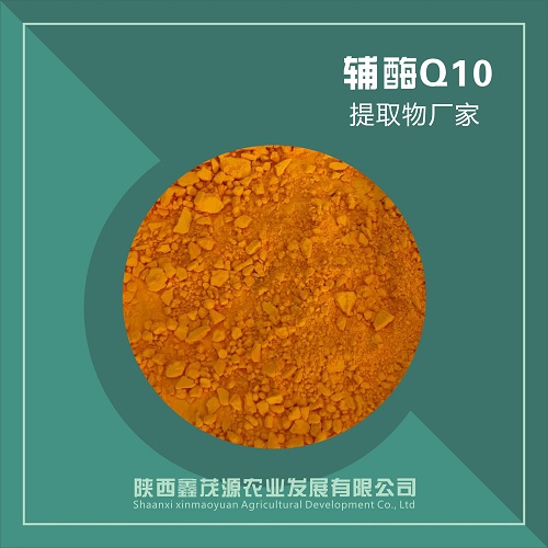 辅酶Q10