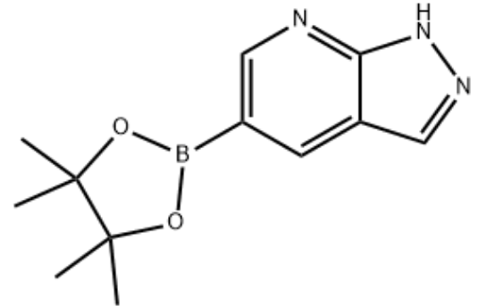 1H-吡唑并[3,4-B]吡啶-5-硼酸频那醇酯