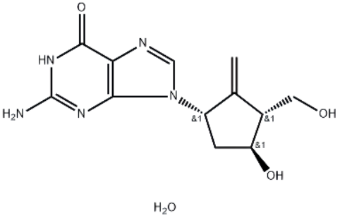 恩替卡韦一水合物-在研产品