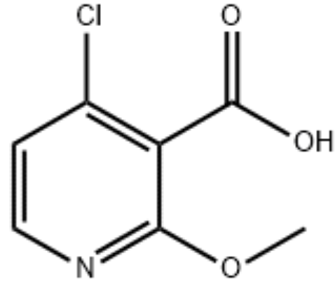 2-甲氧基-4-氯烟酸