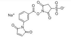 m-马来酰亚胺苯甲酸琥珀酰亚胺酯 钠盐CAS:92921-25-0 