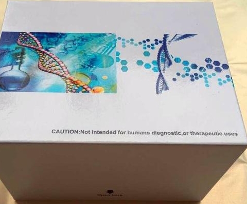 人发动蛋白2(DNM2)Elisa试剂盒