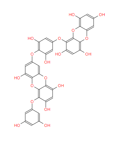 4-[4-[[6-(3,5-二羟基苯氧基)-4,7,9-三羟基二苯并[B,E][1,4]二恶英-2-基]氧基]-3,5-二羟基苯氧基]二苯并[B,E][1,4]二恶英-1,3,6,8-四醇