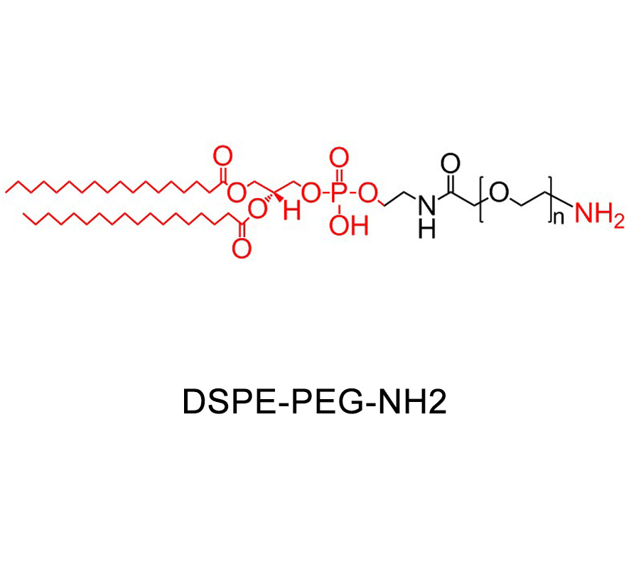 二硬脂酰磷脂酰乙醇胺-聚乙二醇-氨基