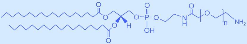 二硬脂酰磷脂酰乙醇胺-聚乙二醇-氨基.jpg