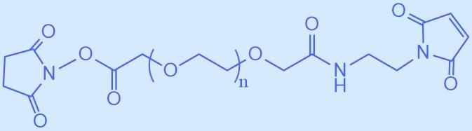 马来酰亚胺-聚乙二醇-活性酯.jpg