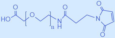 羧基 聚乙二醇 马来酰亚胺.jpg