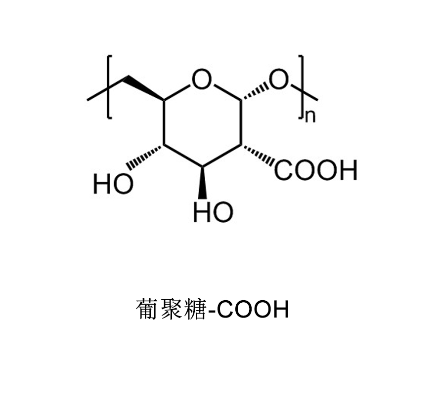 羧基化葡聚糖、Dextran-COOH