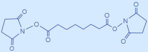 二(N-羟基琥珀酰亚胺)辛二酸酯.jpg