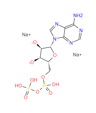 腺苷-5'-二磷酸二钠盐；16178-48-6