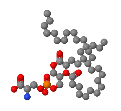 3-SN-磷脂酰-L-丝氨酸