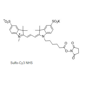 磺化Cy3-NHS 活化酯