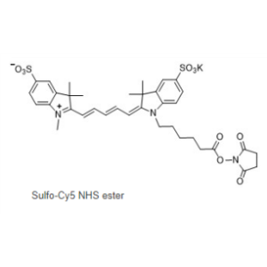 磺化Cy5-NHS 活化酯