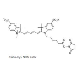 CAS号:2230212-27-6,Sulfo Cy5 NHS ester,磺化Cy5-NHS 活化酯