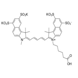 Sulfo CY5.5-COOH 磺酸基花青素CY5.5羧基 2183440-68-6