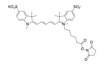 水溶性活性染料Sulfo-CY7-PEG2K-NHS