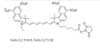 Sulfo-Cy7.5 NHS ester,磺化Cy7.5-NHS 活化酯