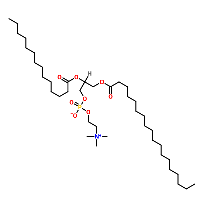 1-硬脂酰-2-肉豆蔻酰基卵磷脂