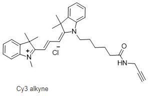 Cyanine3 alkyne