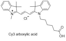 Cy3-Acid
