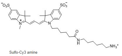 Sulfo-Cyanine3 amine,cas:2183440-43-7