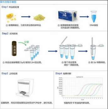 海水派琴虫探针法荧光定量PCR试剂盒