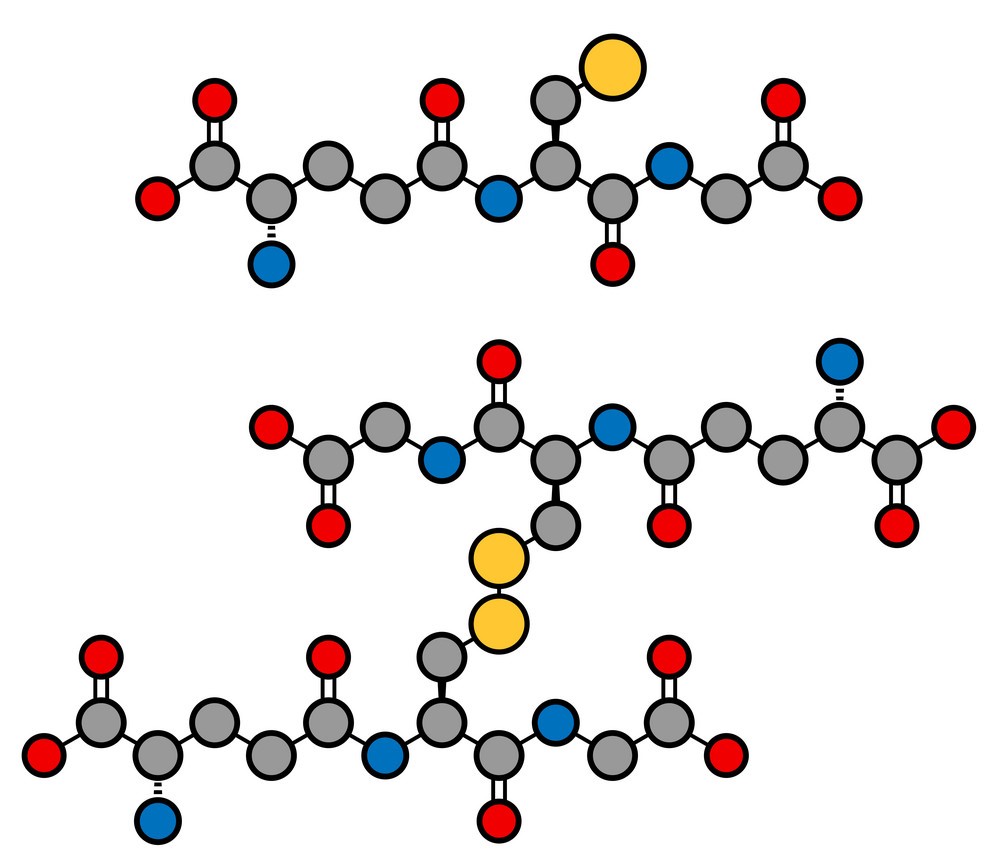 β-葡聚糖；水溶性酵母葡聚糖；酵母 β-葡聚糖