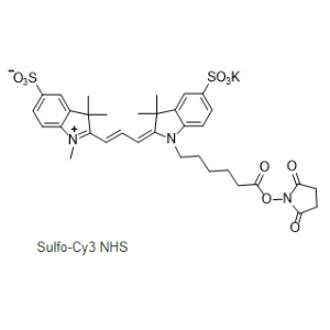 磺化Cy3活化酯