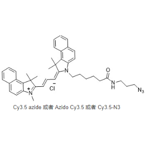 Cy3.5-叠氮