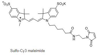 Sulfo-Cy3 maleimide,水溶性CY3马来酰亚胺,Sulfo-Cy3 mal磺酸基-Cy3,马来酰亚胺
