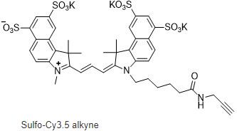 Sulfo-Cyanine3.5 alkyne