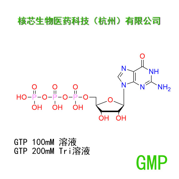 鸟苷三磷酸