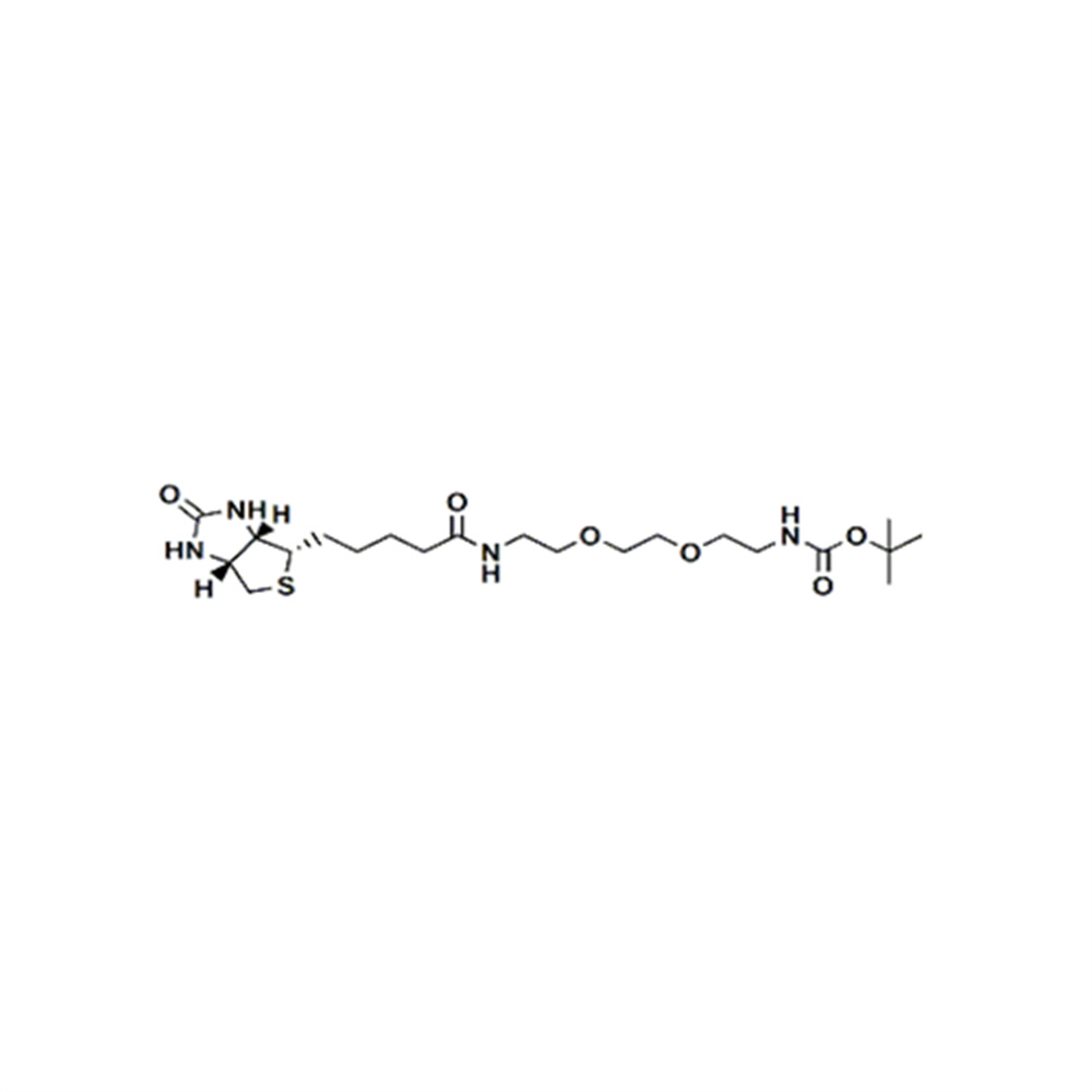 生物素-PEG2-叔丁氧羰基