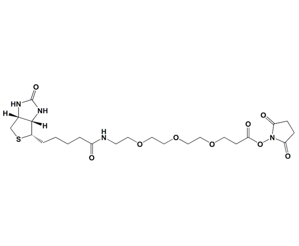 生物素-PEG3-琥珀酰亚胺酯
