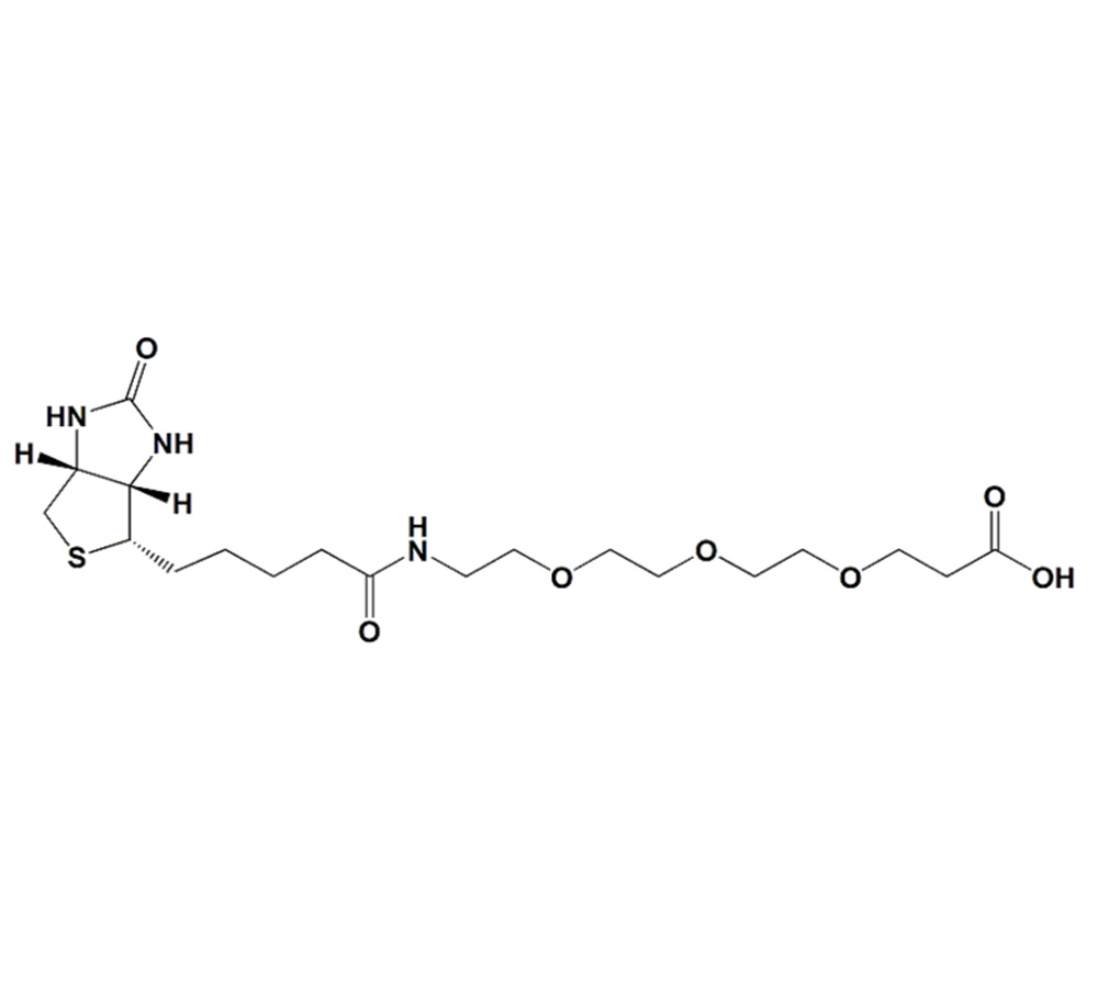 生物素-PEG3-羧酸