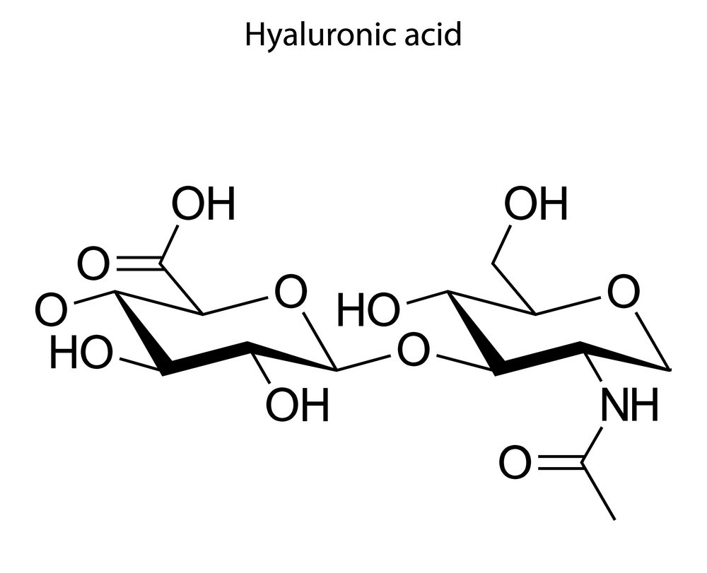 糖类水解物