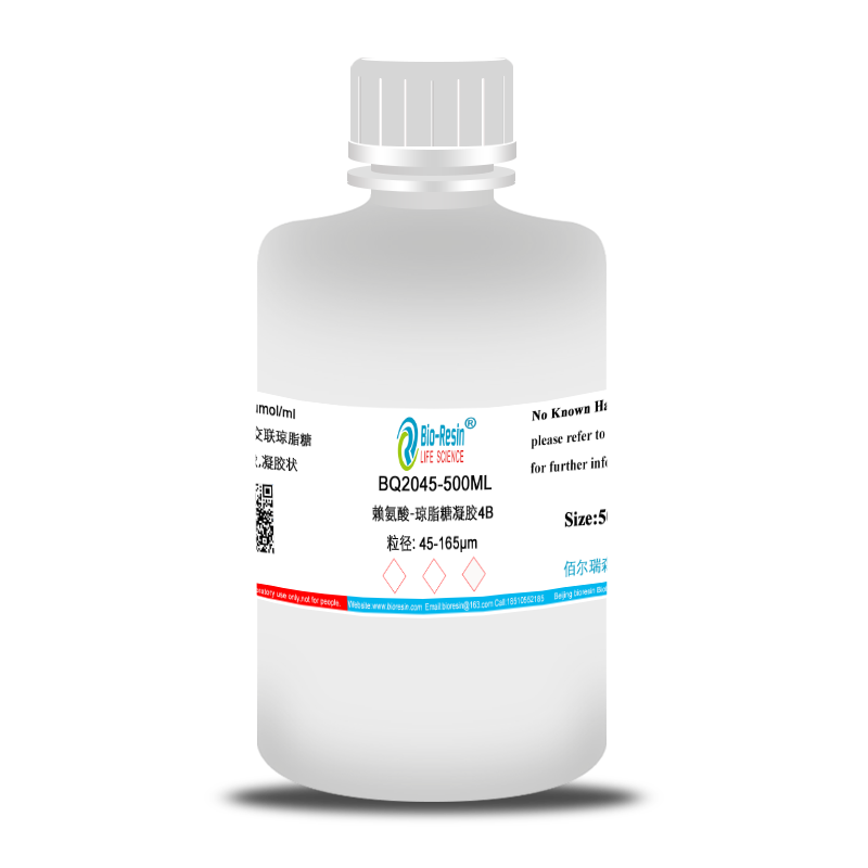赖氨酸-琼脂糖凝胶4B