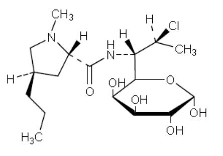 脱硫甲基克林霉素