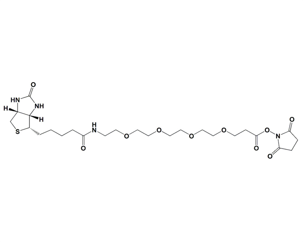 生物素-PEG4-琥珀酰亚胺酯